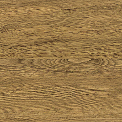 w0146 дуб золотистый