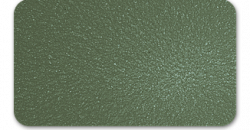 Shagreen