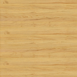 w-102 pine north carolina